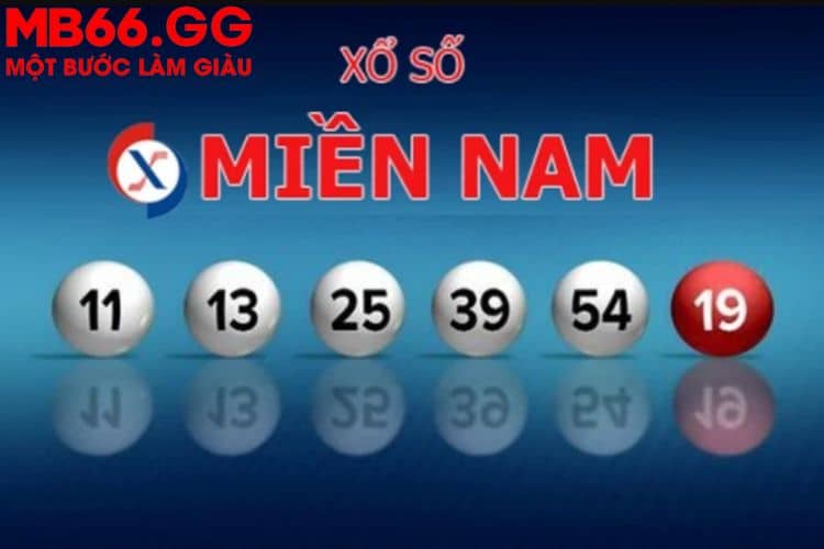 XSMN cách tra cứu và soi cầu