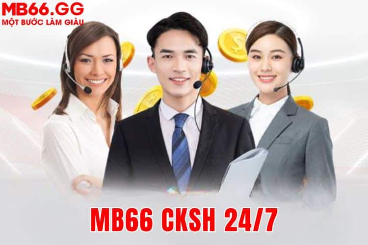 Hỗ trợ khách hàng 24/7