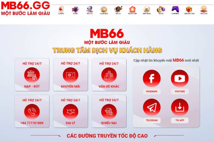 Hỗ trợ trực tuyến