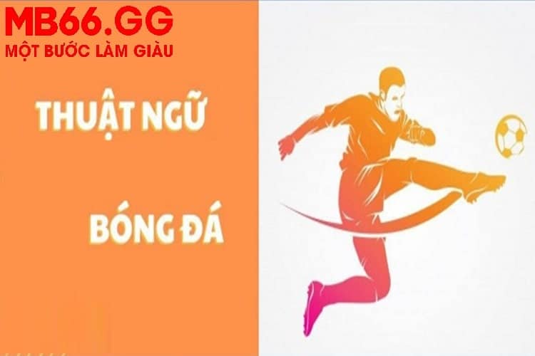 Thuật ngữ bóng đá